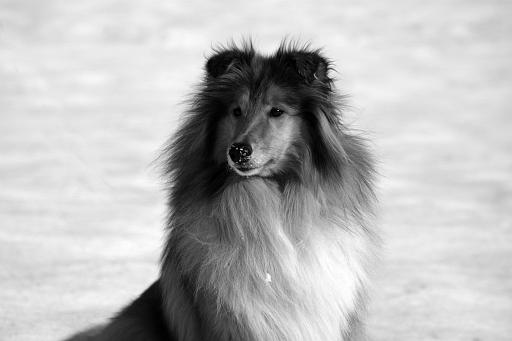 Fotos f. Homepage Galerie 017